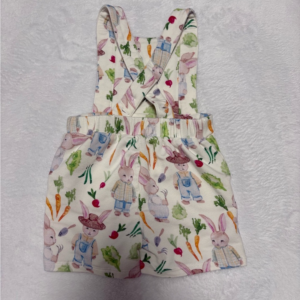 Posh Peanut Bunny Garden Shortie Overalls | 3–6 Months | VGUC - Picture 2 of 3